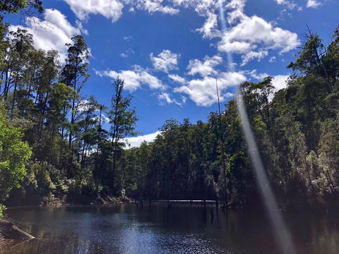 Lemonthyme Wilderness Retreat - Tourism Gold Coast 7