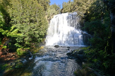 Lemonthyme Wilderness Retreat - Tourism Gold Coast 19