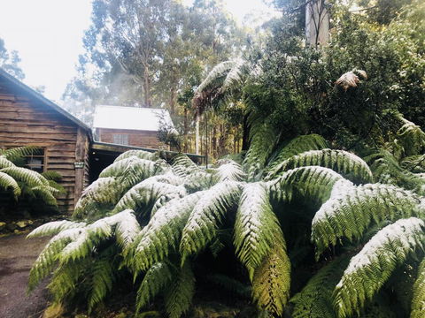 Lemonthyme Wilderness Retreat - Tourism Gold Coast 5