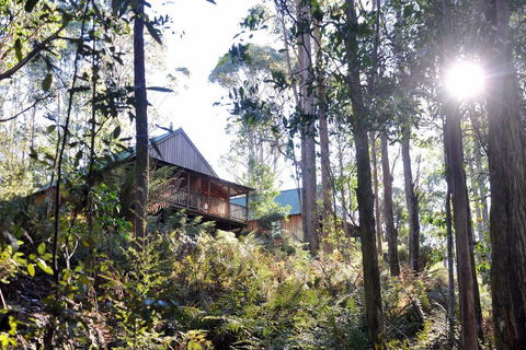 Lemonthyme Wilderness Retreat - Tourism Gold Coast 25