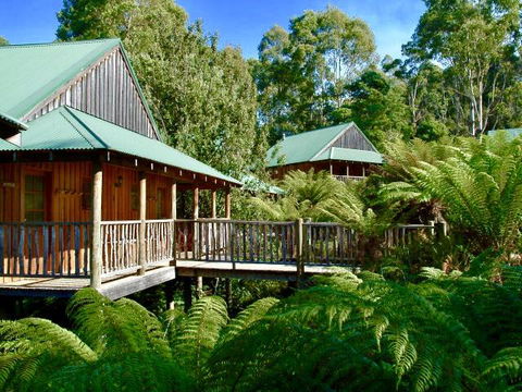 Lemonthyme Wilderness Retreat - Tourism Gold Coast 11