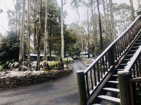 Lemonthyme Wilderness Retreat - Tourism Gold Coast 15