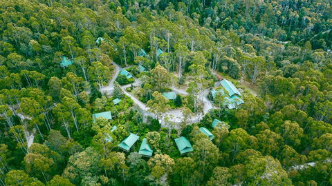 Lemonthyme Wilderness Retreat - Tourism Gold Coast 0