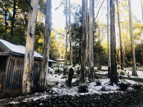Lemonthyme Wilderness Retreat - Tourism Gold Coast 6