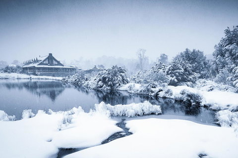 Peppers Cradle Mountain Lodge - Gold Coast 24