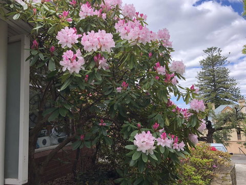 Studio SixA ... A Haven In The Heart Of Hobart - Tourism Gold Coast 19