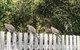 Studio SixA ... A Haven In The Heart Of Hobart - thumb 18