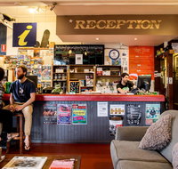The Pickled Frog - Tourism Gold Coast