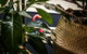 Alabama Hotel Hobart - thumb 25