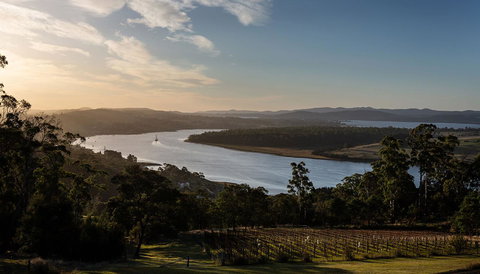 Domescapes In The Vines - Gold Coast 10