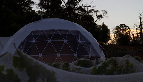 Domescapes In The Vines - Gold Coast 12