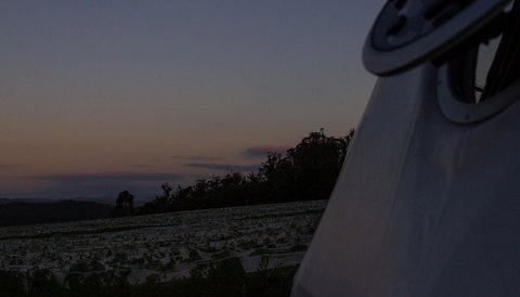 Domescapes In The Vines - Gold Coast 4