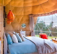 Domescapes in the Vines - Gold Coast