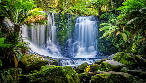 Domescapes In The Vines - Gold Coast 13