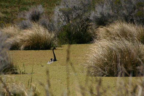 Cloudy Bay Beach House - Gold Coast 15