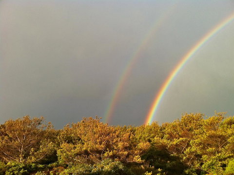 Cloudy Bay Beach House - Gold Coast 44