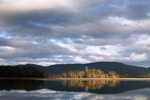 Cloudy Bay Beach House - Gold Coast 12