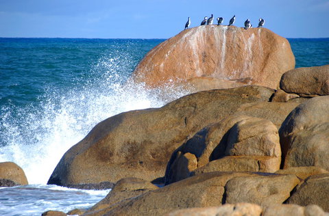 Cloudy Bay Beach House - Gold Coast 29