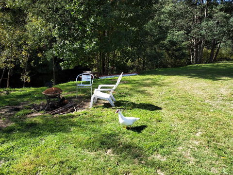 Wanderlust Cottage - Tourism Gold Coast 18