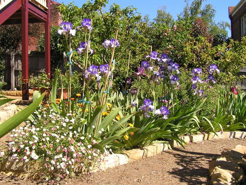 Bendalls Bed And Breakfast - Tourism Gold Coast 10