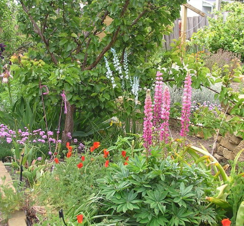 Bendalls Bed And Breakfast - Tourism Gold Coast 14