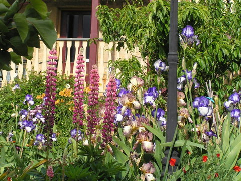 Bendalls Bed And Breakfast - Tourism Gold Coast 19
