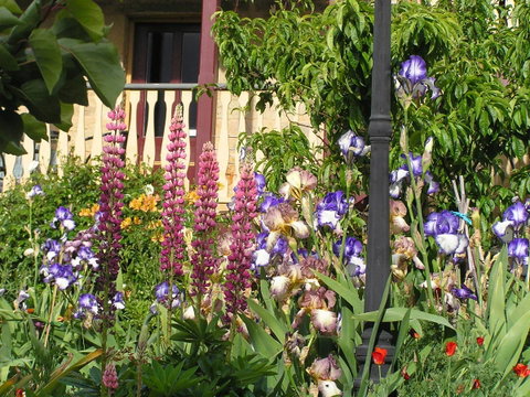 Bendalls Bed And Breakfast - Tourism Gold Coast 8