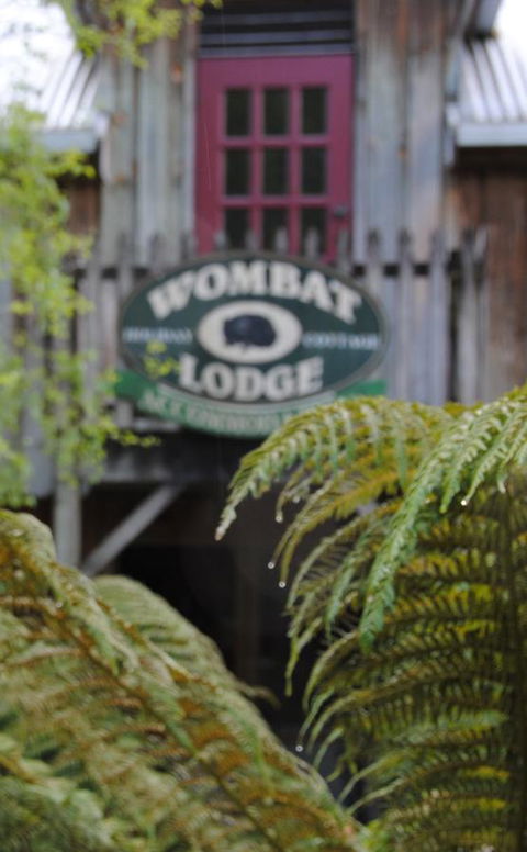 The Wombat Cottage - Tourism Gold Coast 0