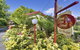 Tamar River Retreat - thumb 39
