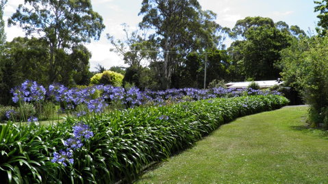 Tamar River Retreat - Tourism Gold Coast 11