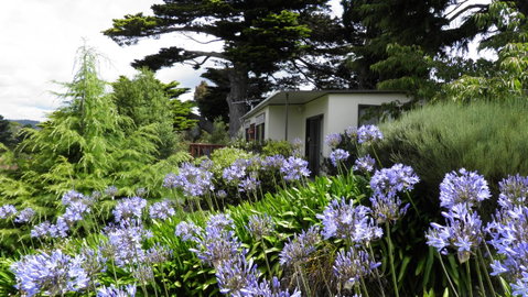 Tamar River Retreat - Tourism Gold Coast 28