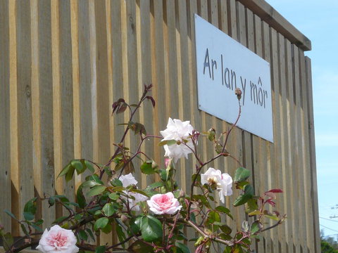 Ar Lan Y Mor - Tourism Gold Coast 12