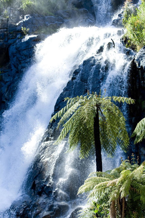 Tower Motel Marysville - Tourism Gold Coast 23