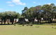 Halls Gap Lakeside Tourist Park - thumb 1
