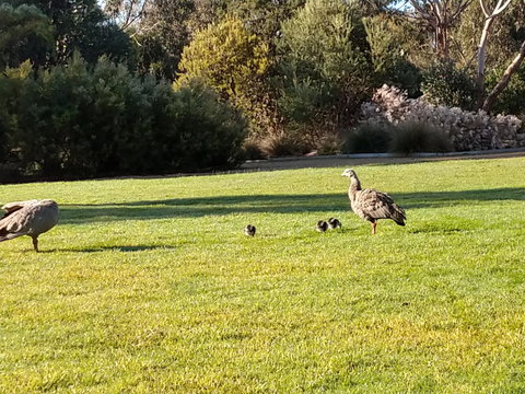 Rural 5 Star Villa\'s With Resort Amenities - Gold Coast 7