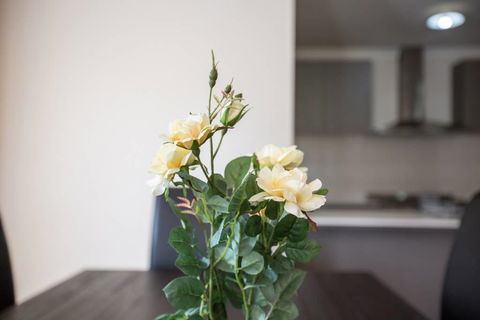 Holiday Rose - Tourism Gold Coast 8