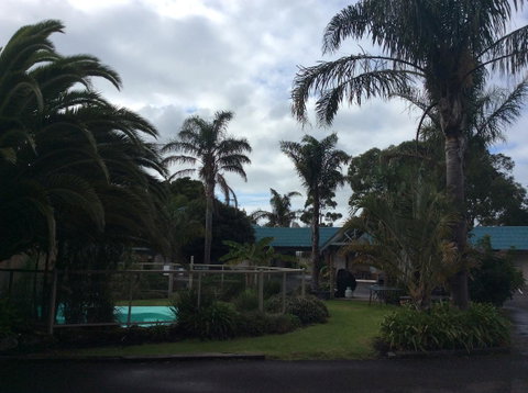 Tropicana Motor Inn - Tourism Gold Coast 37