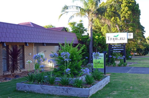 Tropicana Motor Inn - Tourism Gold Coast 10