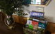 Kangurra Holiday House - thumb 8