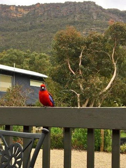Kangurra Holiday House - Tourism Gold Coast 15