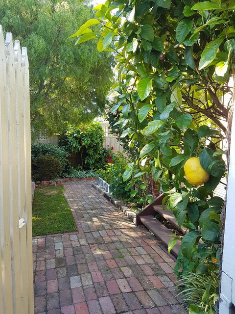 Healesville House - Fig Tree House - Tourism Gold Coast 17