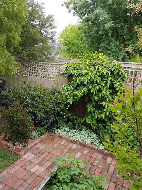 Healesville House - Fig Tree House - Tourism Gold Coast 21