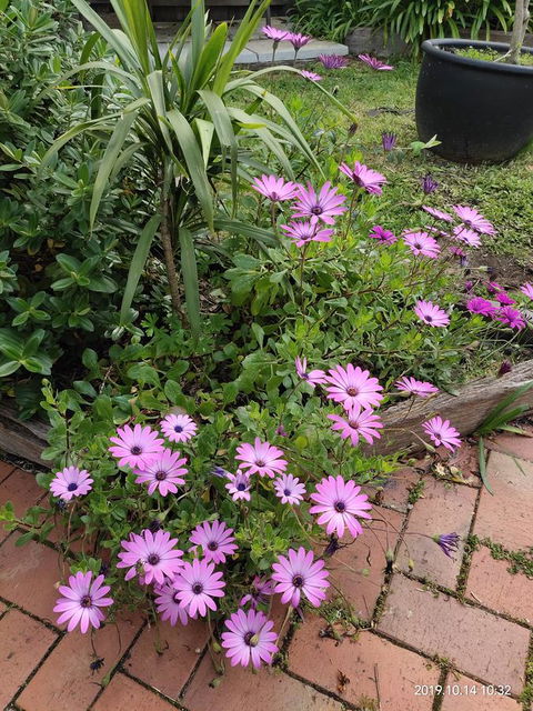 Coachman Motel And Holiday Units - Gold Coast 15