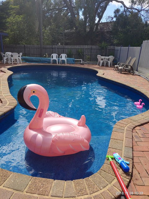 Coachman Motel And Holiday Units - Gold Coast 7