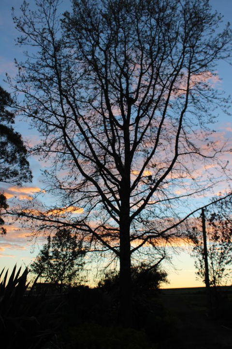 East Street Daylesford - Tourism Gold Coast 29