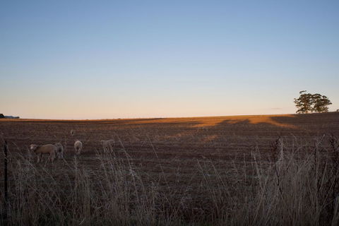 East Street Daylesford - Tourism Gold Coast 13