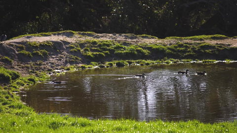 Limosa Rise - Tourism Gold Coast 15