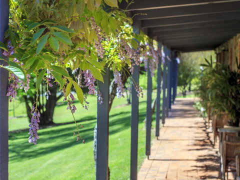 Bright Mystic Valley - Tourism Gold Coast 22