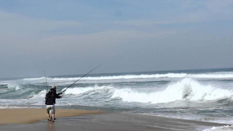 Stunning Waterfront Only 10 Minutes To Phillip Island - FREE EV UNIT 7kW For Electric Cars - Pet Friendly, Fireplace FREE WIFI Wine & Chocolates - Tourism Gold Coast 5