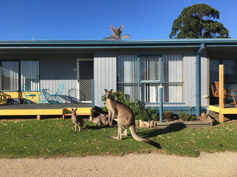 Lakeside At Mallacoota - Tourism Gold Coast 15